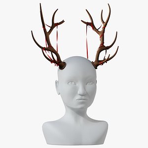 Horn ribbons 3D model