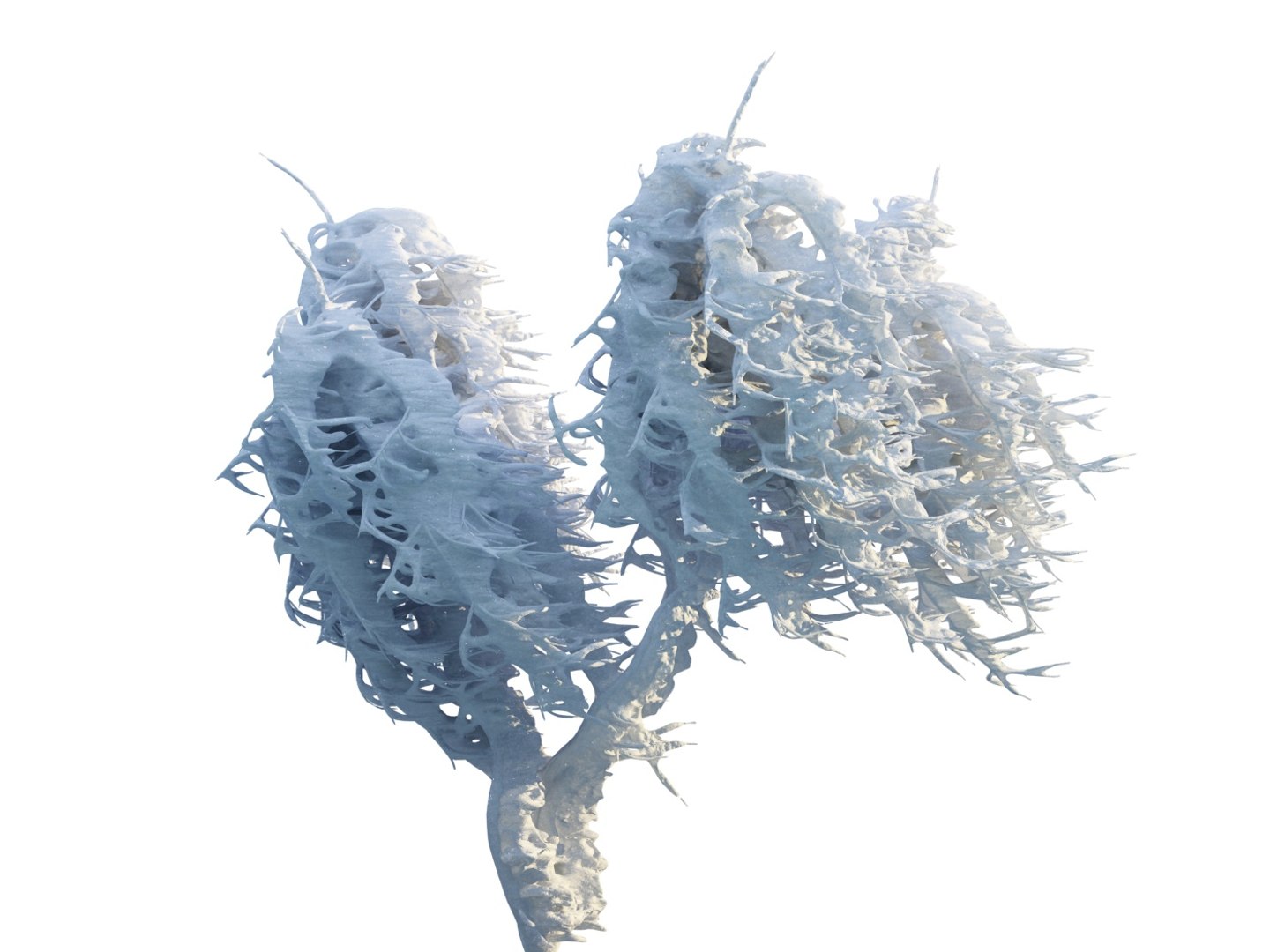frozen tree hd 3d model