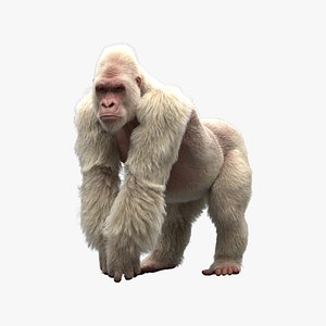 White Gorilla Rigged
