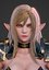 Elf Swordmaster