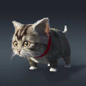 baby cat fur 3d model