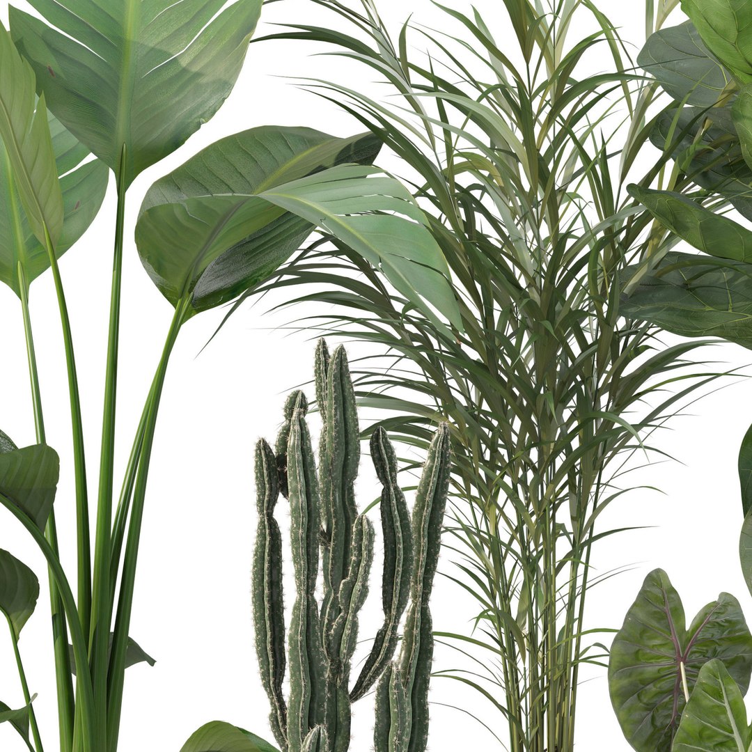 3D Model 20 Photorealistic Flowers For Interiors - Set 201 207 213 219 ...