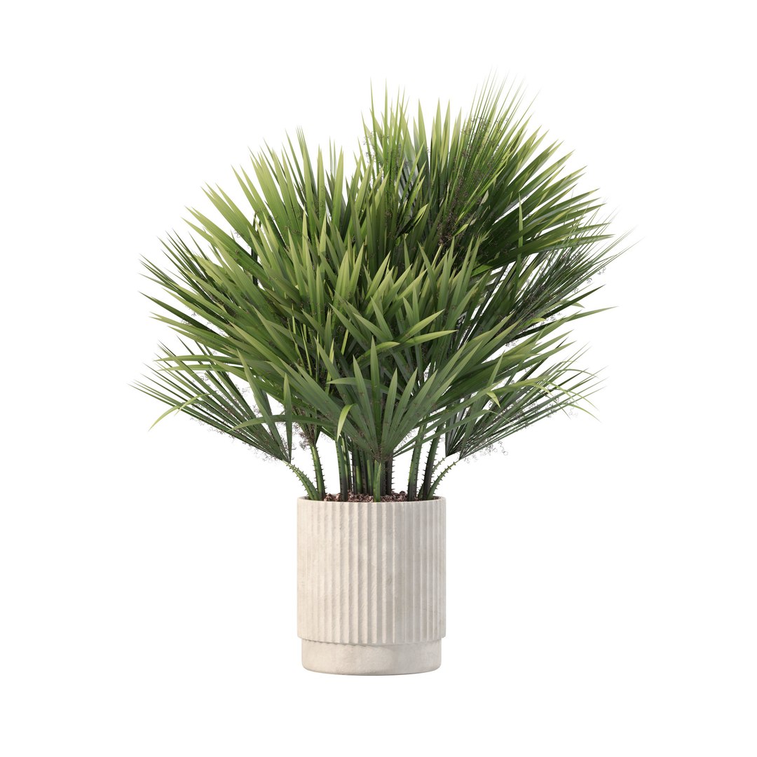 3D Model 20 Photorealistic Flowers For Interiors - Set 201 207 213 219 ...