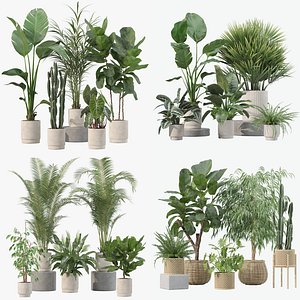20 Modern Interior Plants Megapack Ficus Sansevieria Rubber Tree - Set 201 207 213 219