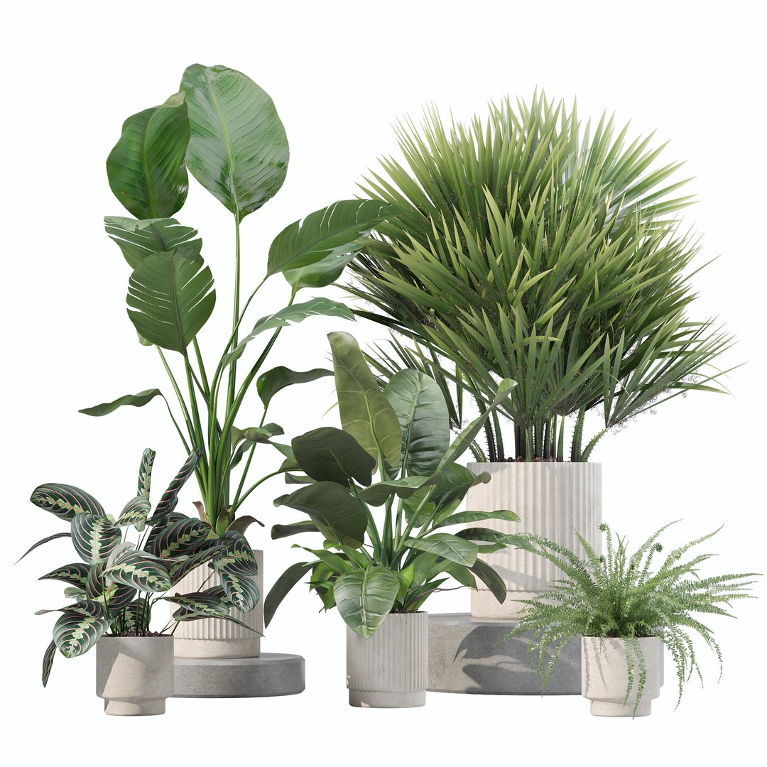 3D Model 20 Photorealistic Flowers For Interiors - Set 201 207 213 219 ...