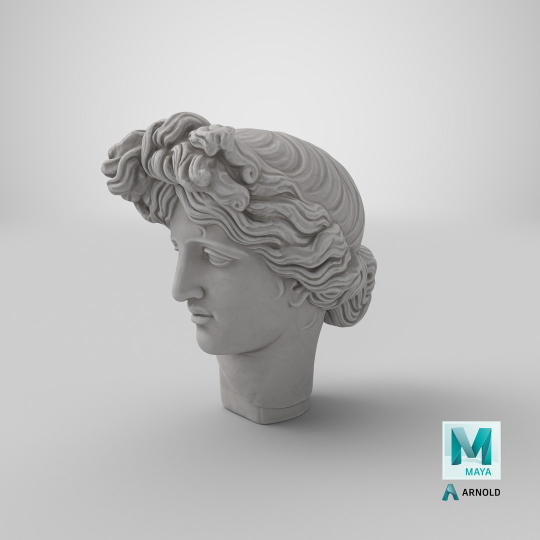 3D model apollo giustiniani head https://p.turbosquid.com/ts-thumb/lf/IomSmb/0mbZsSUC/stemcell_maya_arnold_render/png/1576148803/1920x1080/fit_q87/b081cbcc12b2270f74f24a8b975f8061e0d0b9e1/stemcell_maya_arnold_render.jpg