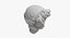 Apollo Giustiniani Head