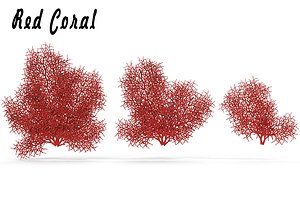 sea corals red 3d fbx