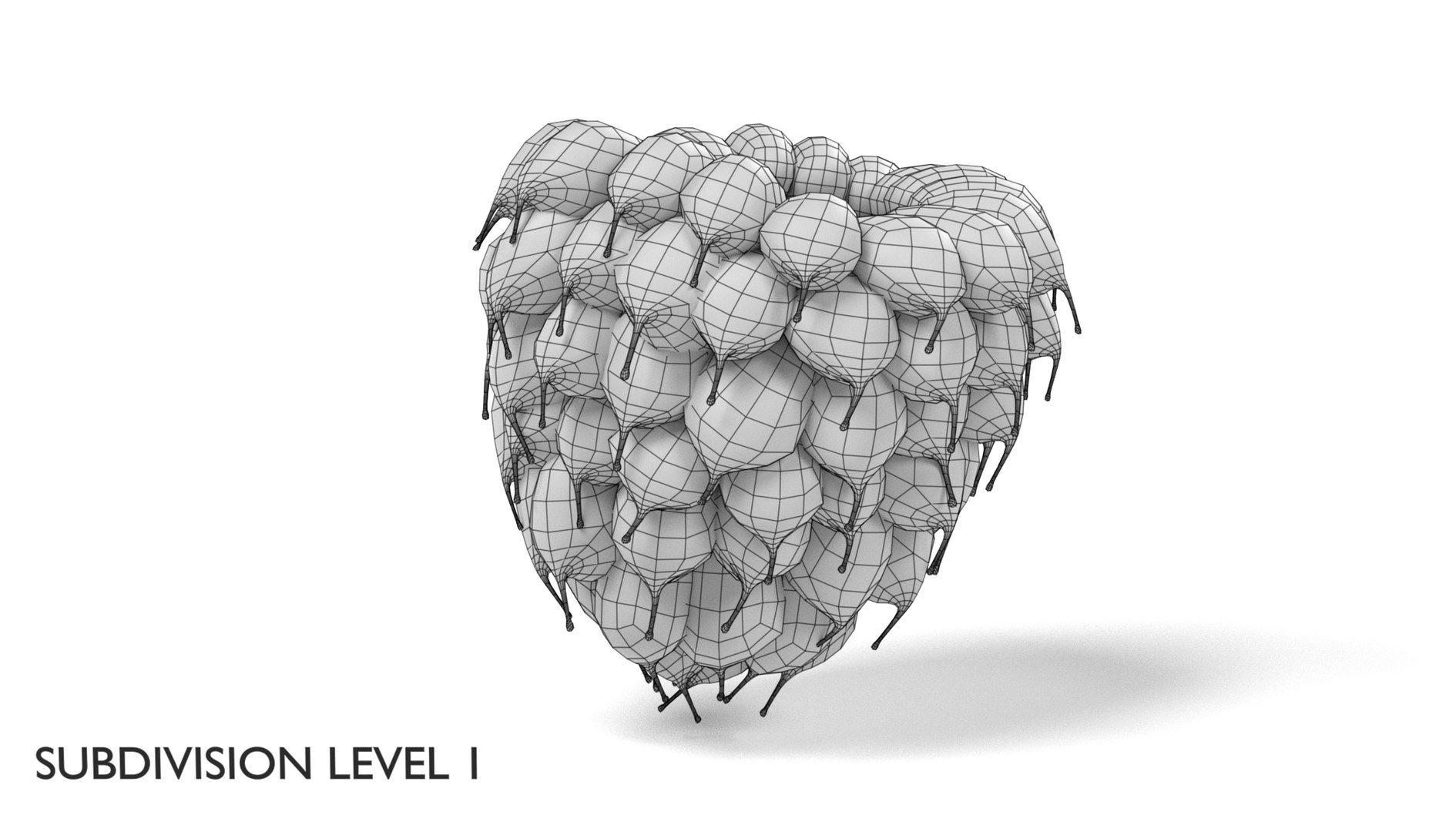 Raspberry 3D Model | 1144097 | TurboSquid