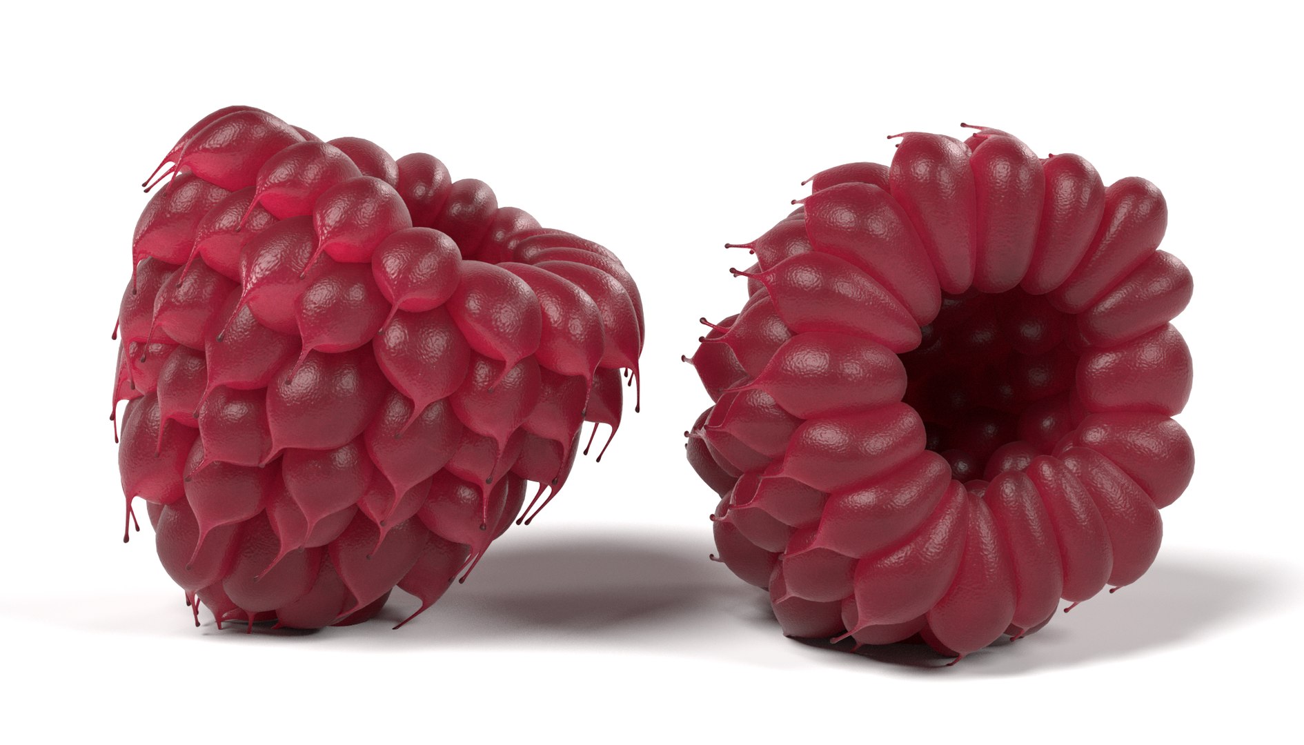 Raspberry 3D Model | 1144097 | TurboSquid