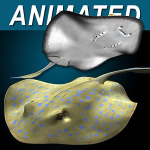 realistic bluespotted stingray 3d model