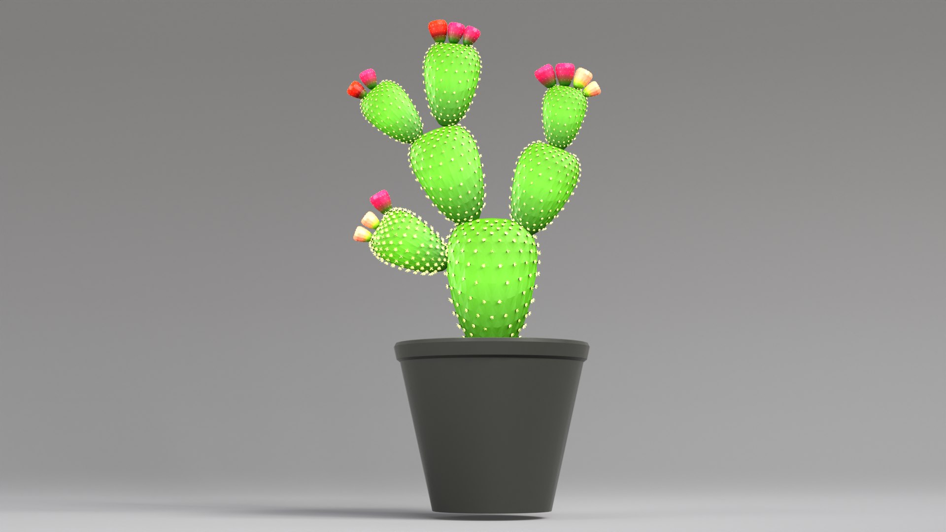 3D Cactus Plant Model - TurboSquid 2108745