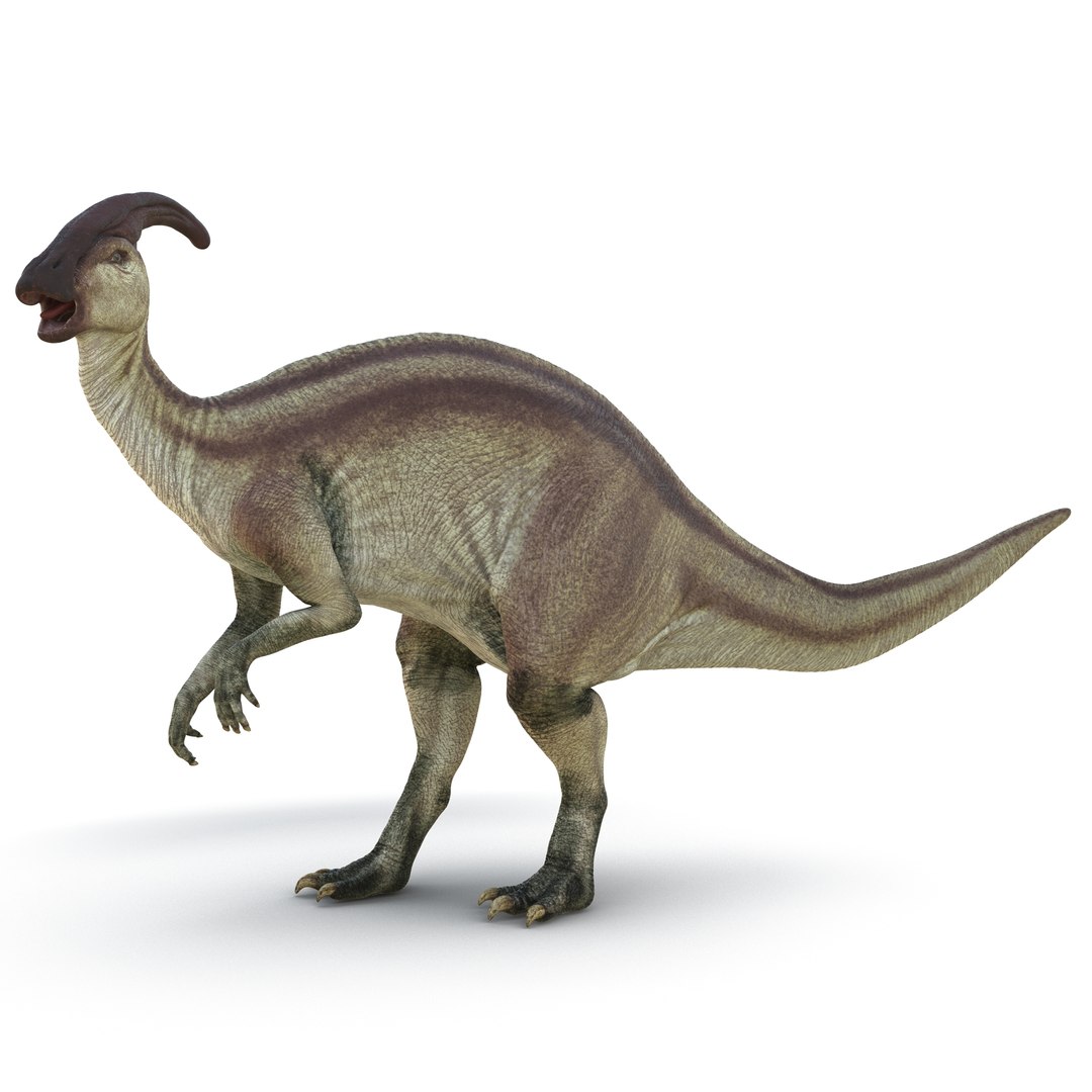 Parasaurolophus Pose 2 3D Model 3D model preview