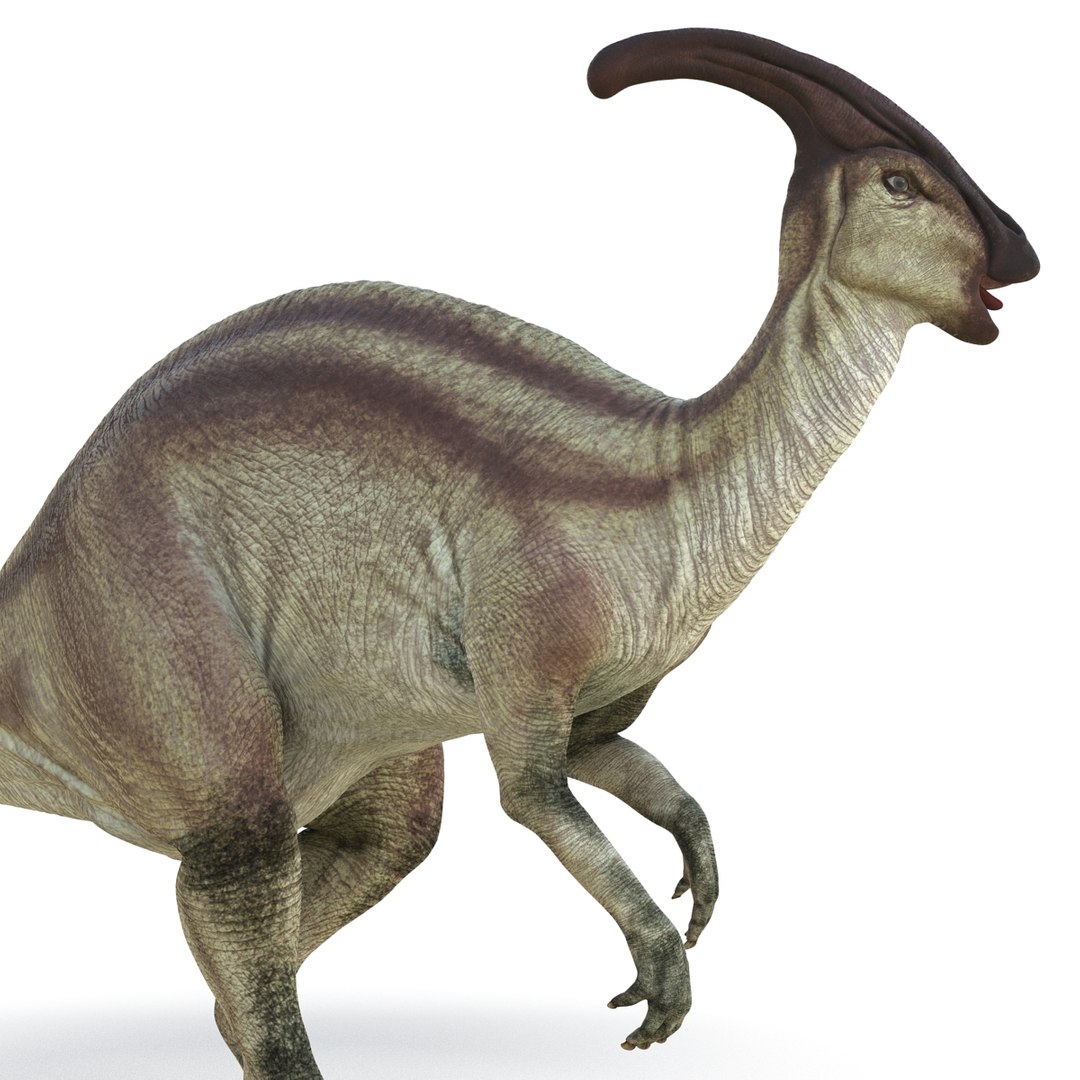 Parasaurolophus Pose 2 3d Obj