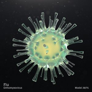 3D microbes micro organisms model