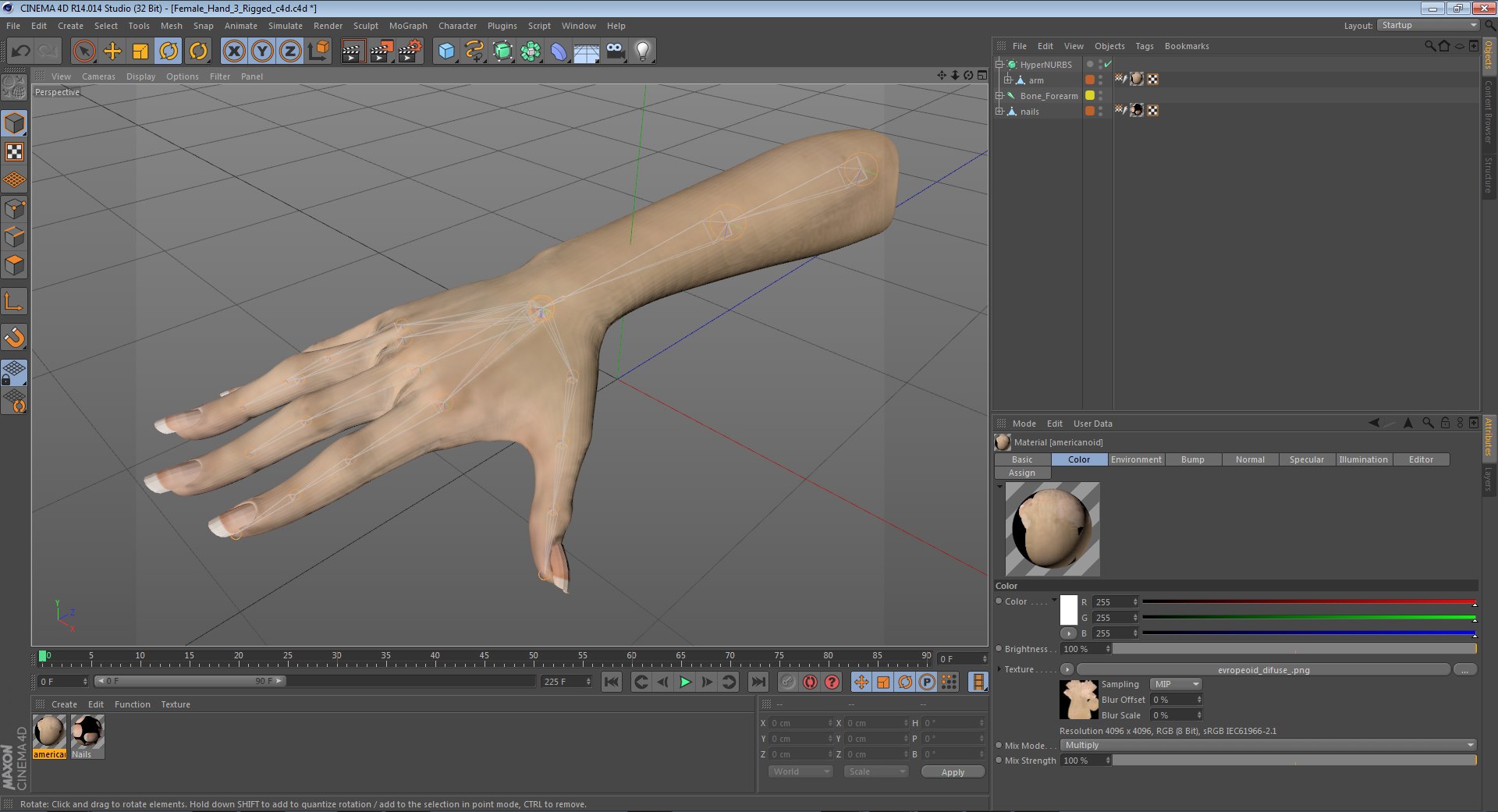 female hand 3 rigged 3d model https://p.turbosquid.com/ts-thumb/lg/R4CHoN/ICOmFh5Z/femalehandriggedcinema4d3dmodel31/jpg/1485956738/1920x1080/fit_q87/e151b53237886daf540be6d7c89e8d9ad572287a/femalehandriggedcinema4d3dmodel31.jpg