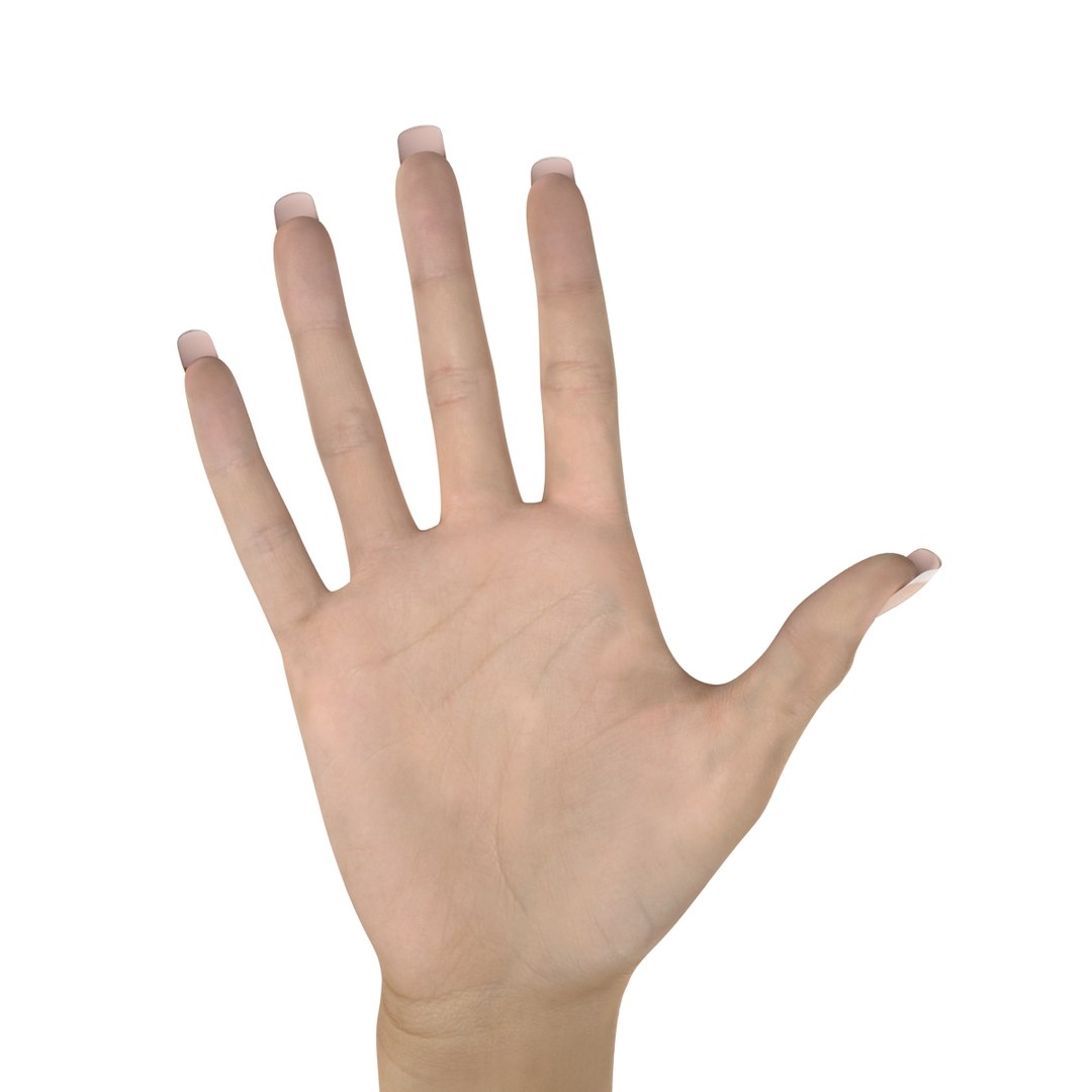 female hand 3 rigged 3d model https://p.turbosquid.com/ts-thumb/lg/R4CHoN/XX7BrFjZ/femalehandriggedcinema4d3dmodel27/jpg/1485956738/1920x1080/fit_q87/fe81781cc626255769b5da5886284cdcdfccf104/femalehandriggedcinema4d3dmodel27.jpg