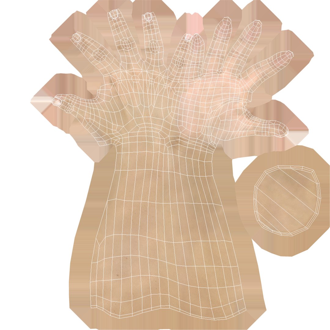 female hand 3 rigged 3d model https://p.turbosquid.com/ts-thumb/lg/R4CHoN/iJGUaCgh/femalehandriggedcinema4d3dmodel35/jpg/1485956738/1920x1080/fit_q87/e5537d308670376755bef0646aeebc22c148f66b/femalehandriggedcinema4d3dmodel35.jpg