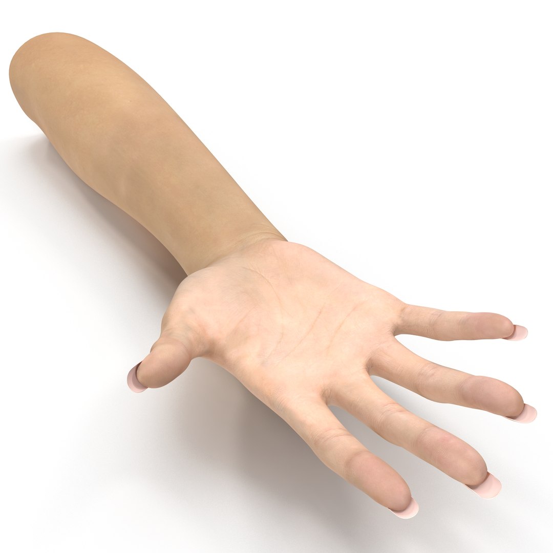 female hand 3 rigged 3d model https://p.turbosquid.com/ts-thumb/lg/R4CHoN/jRZeEeHg/femalehandriggedcinema4d3dmodel08/jpg/1485956737/1920x1080/fit_q87/849baf10ec8c36bef31cc36f17bb08b2a926d219/femalehandriggedcinema4d3dmodel08.jpg