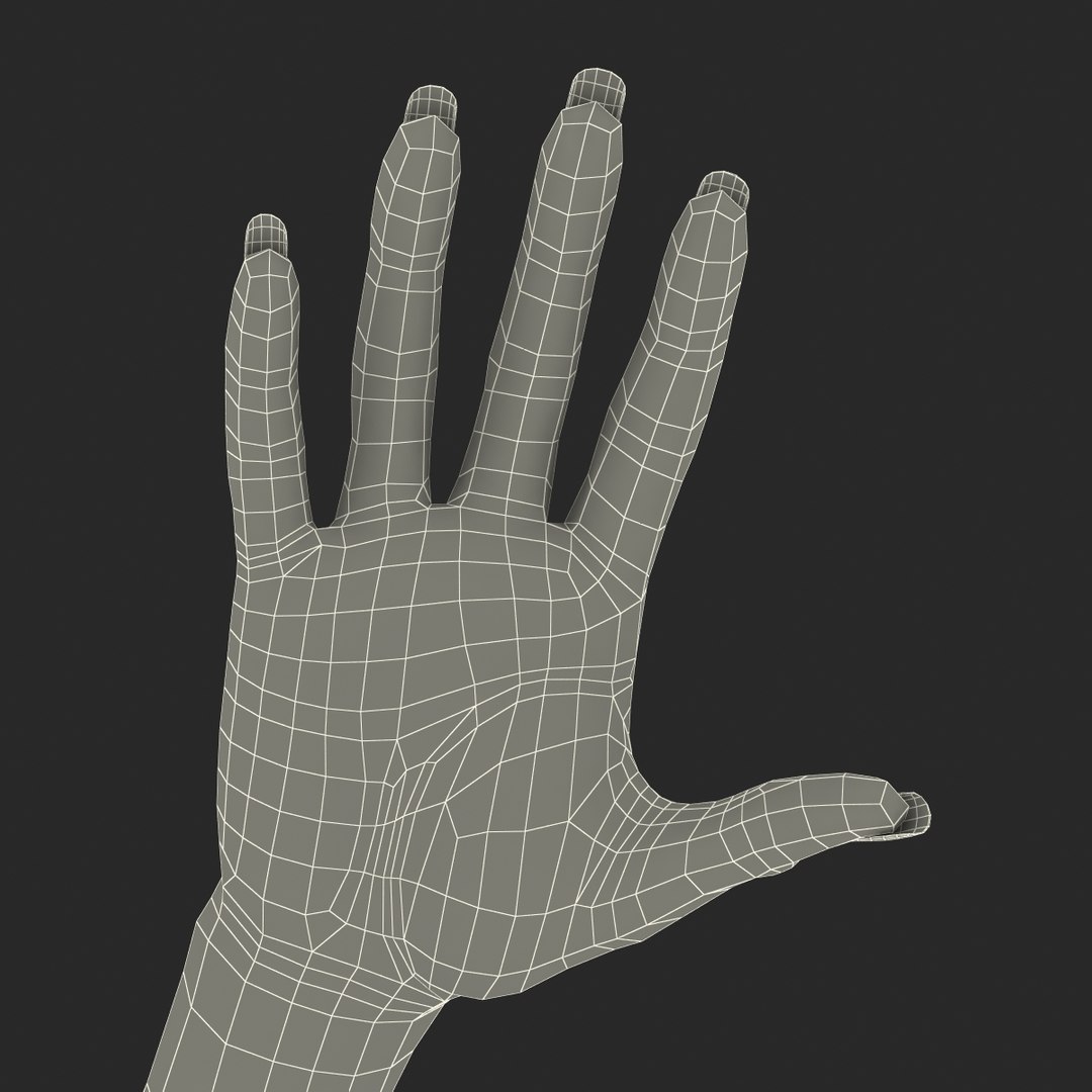 female hand 3 rigged 3d model https://p.turbosquid.com/ts-thumb/lg/R4CHoN/vWm91q5P/femalehandriggedcinema4d3dmodel42/jpg/1485956738/1920x1080/fit_q87/20deb59398520b0ebaa0ca1a1ec2d089ccb1d78d/femalehandriggedcinema4d3dmodel42.jpg