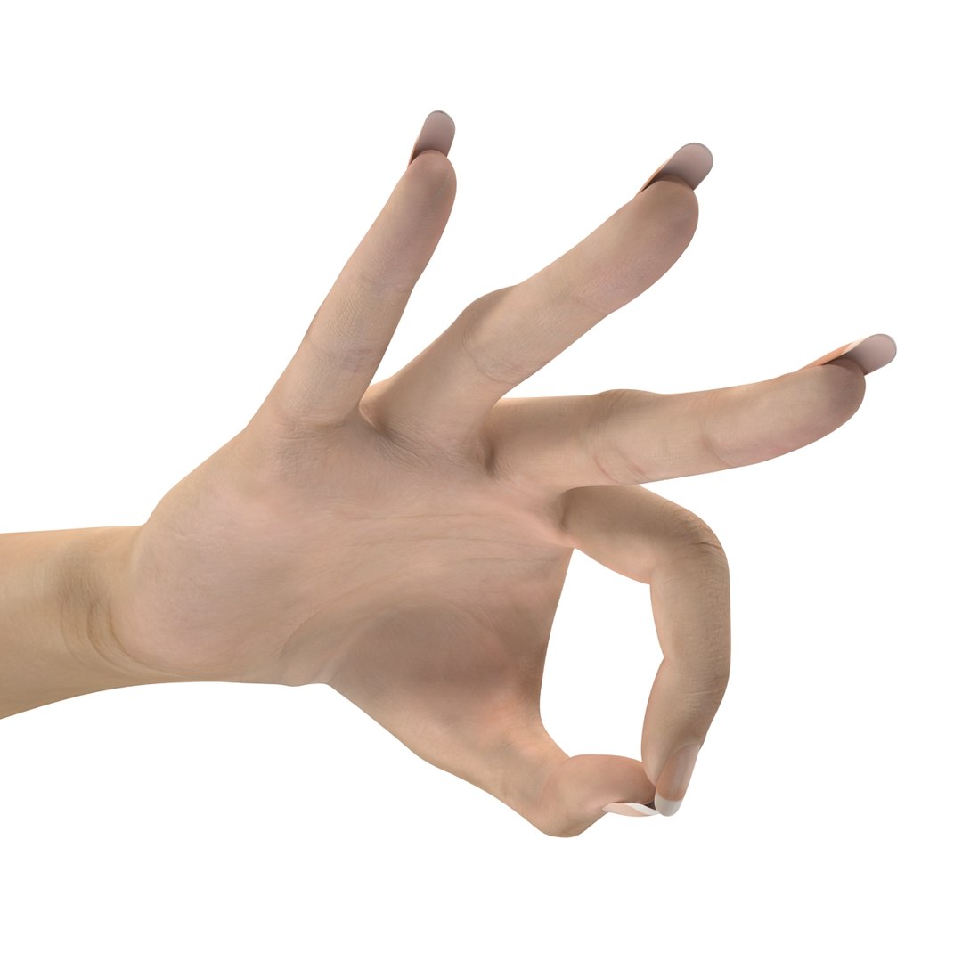 female hand 3 rigged 3d model https://p.turbosquid.com/ts-thumb/lg/R4CHoN/xQuDawb2/femalehandriggedcinema4d3dmodel23/jpg/1485956738/1920x1080/fit_q87/1276b85ca6c11e8b40b603853c6c2b34e44822e9/femalehandriggedcinema4d3dmodel23.jpg