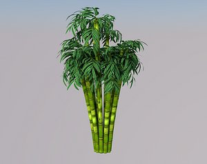 bamboo tree 3D