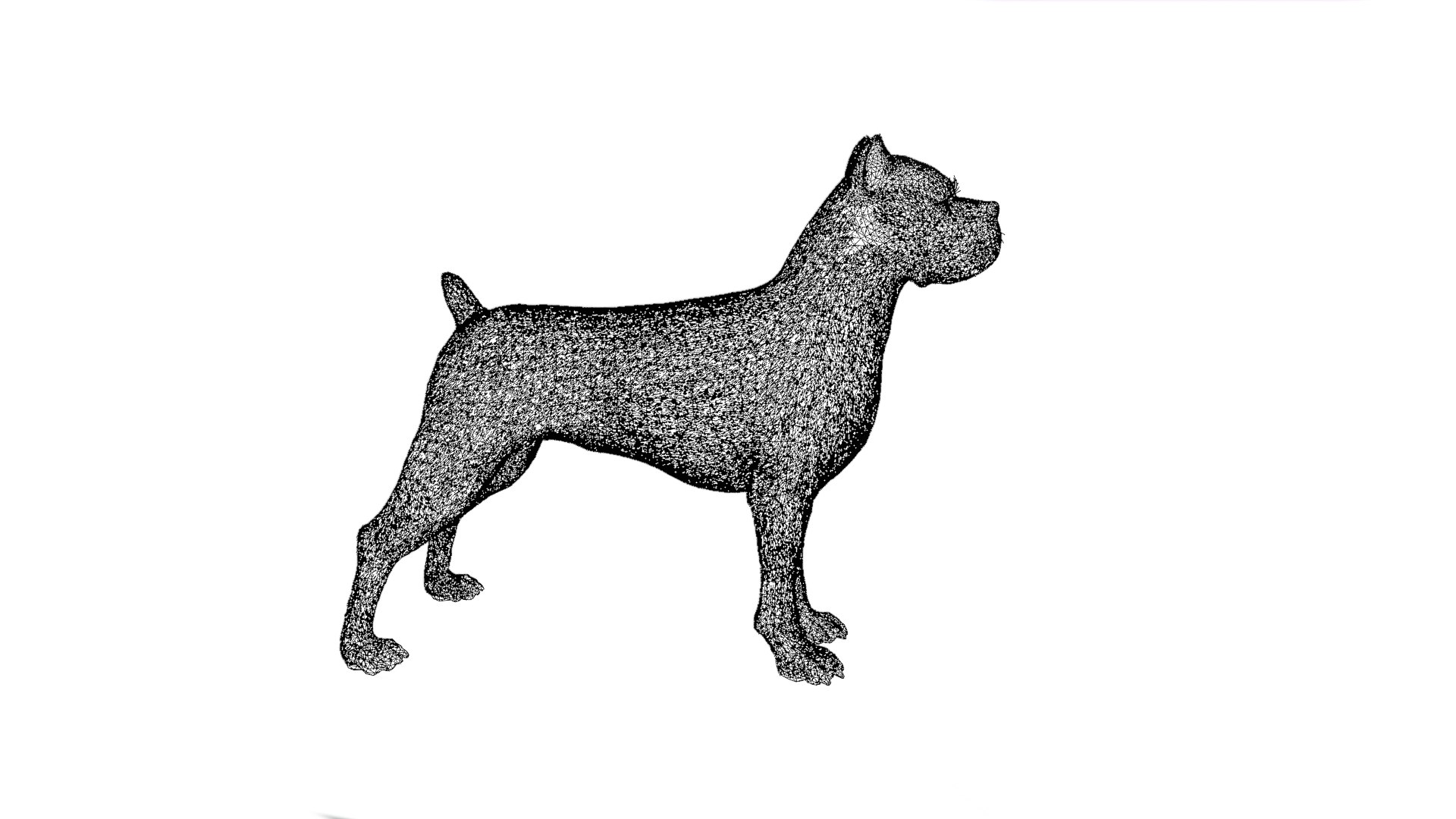 3D Dogs Model - TurboSquid 2227261