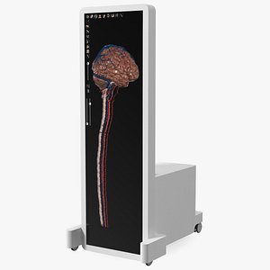 3D Vertical Interactive Desktop Display Brain Device model