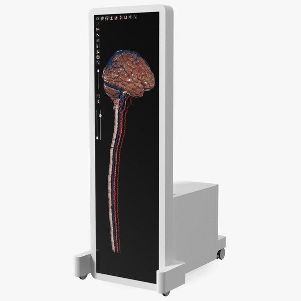 modelo 3d Dispositivo de cerebro de pantalla de escritorio interactivo ...