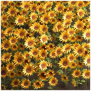 3D Sunflower field