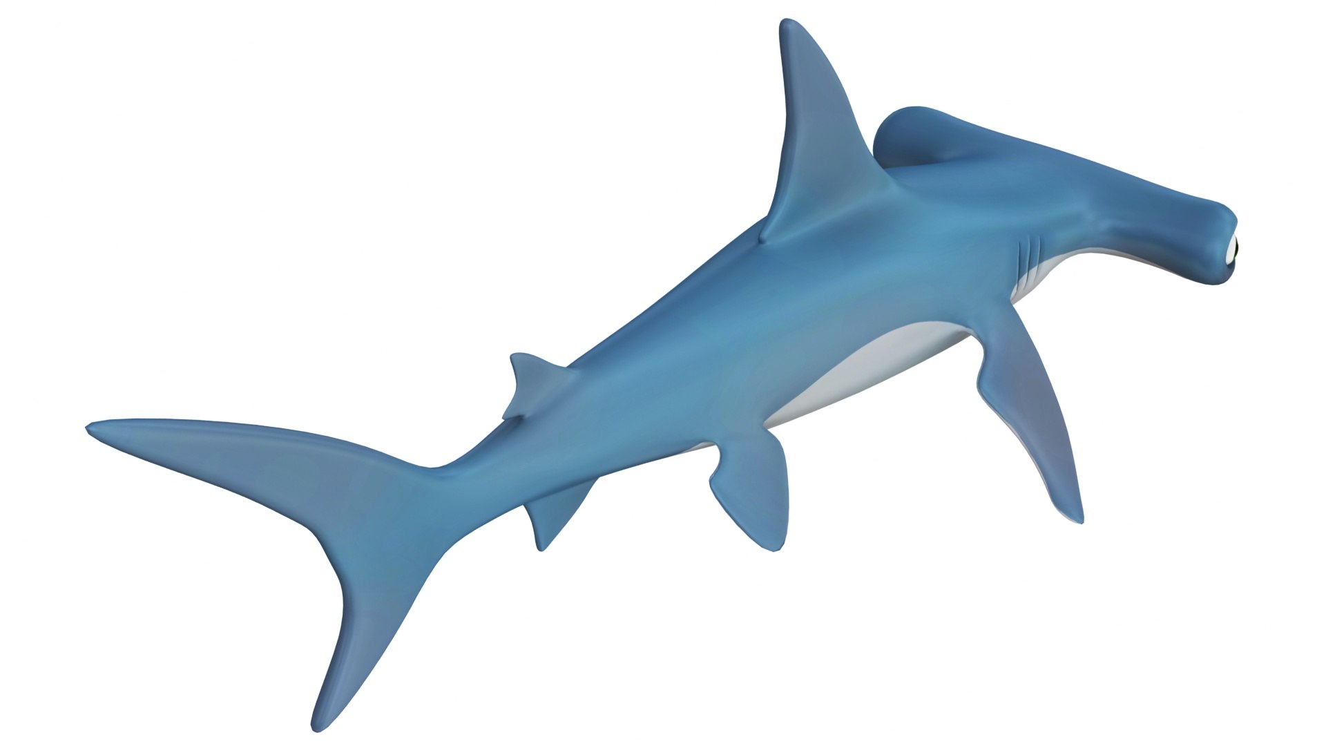 Mega Cartoon Sea Creatures 40 in 1 Collection 3D https://p.turbosquid.com/ts-thumb/lg/pX8rza/4q/cartoonhammmerheadshark3/jpg/1689875621/1920x1080/fit_q87/6da7e914ec2ba19df72eea027e7fb4d7ce317a51/cartoonhammmerheadshark3.jpg