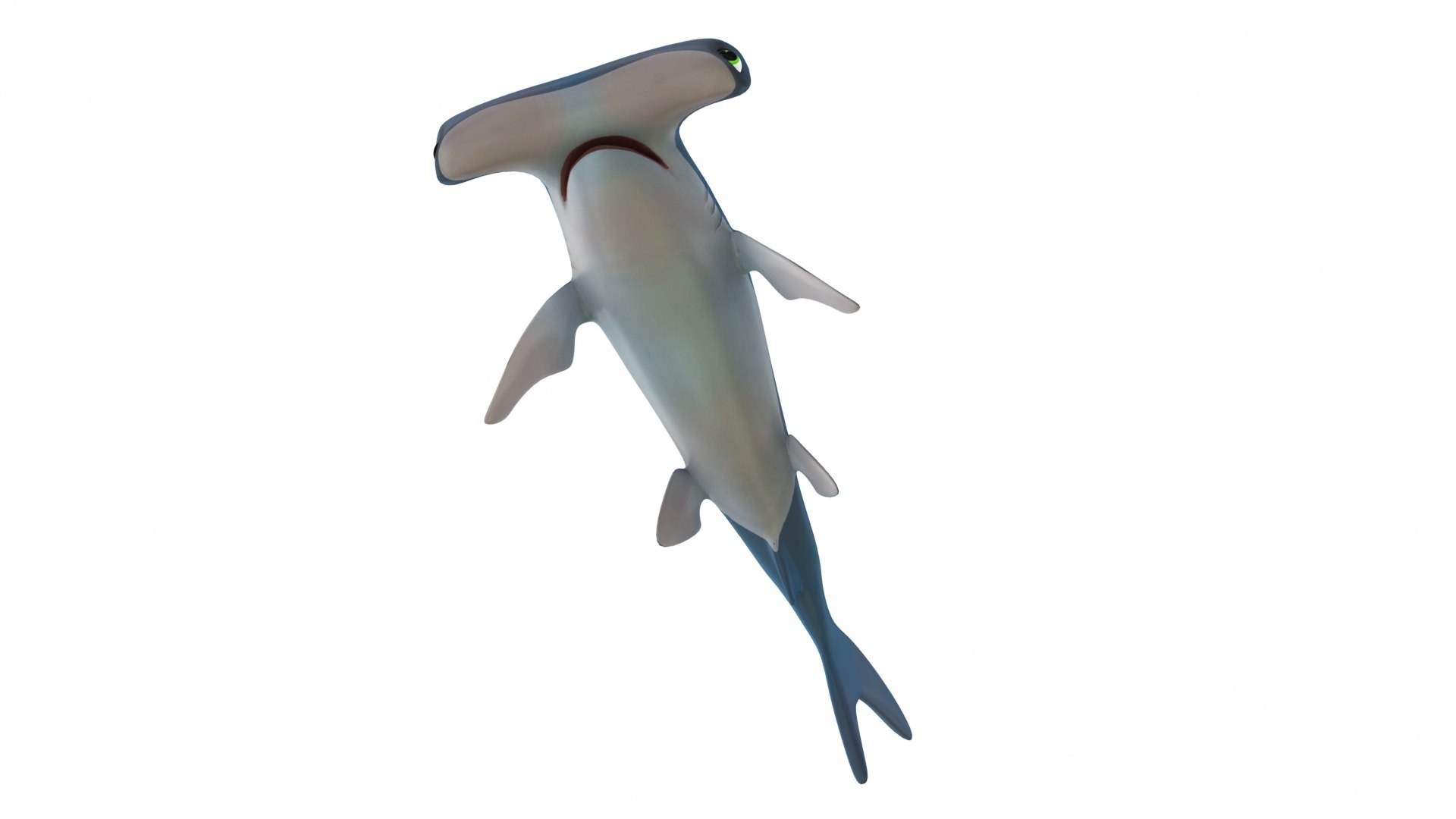 Mega Cartoon Sea Creatures 40 in 1 Collection 3D https://p.turbosquid.com/ts-thumb/lg/pX8rza/7a/cartoonhammmerheadshark7/jpg/1689875619/1920x1080/fit_q87/de70f571faf0634d1f4e07d3afa825d076667ea6/cartoonhammmerheadshark7.jpg