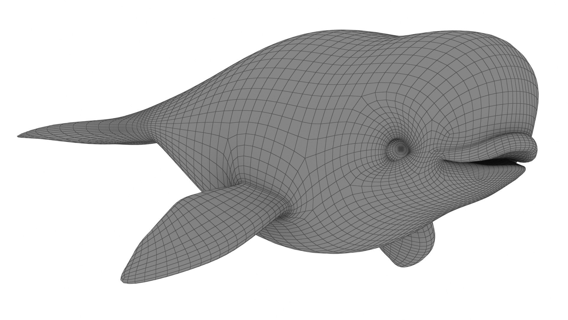 Mega Cartoon Sea Creatures 40 in 1 Collection 3D https://p.turbosquid.com/ts-thumb/lg/pX8rza/CJ/cartoonbelugawhale10/jpg/1689875456/1920x1080/fit_q87/89a4d96fc9284ff653c5c77f4d3d24e8084feb3d/cartoonbelugawhale10.jpg
