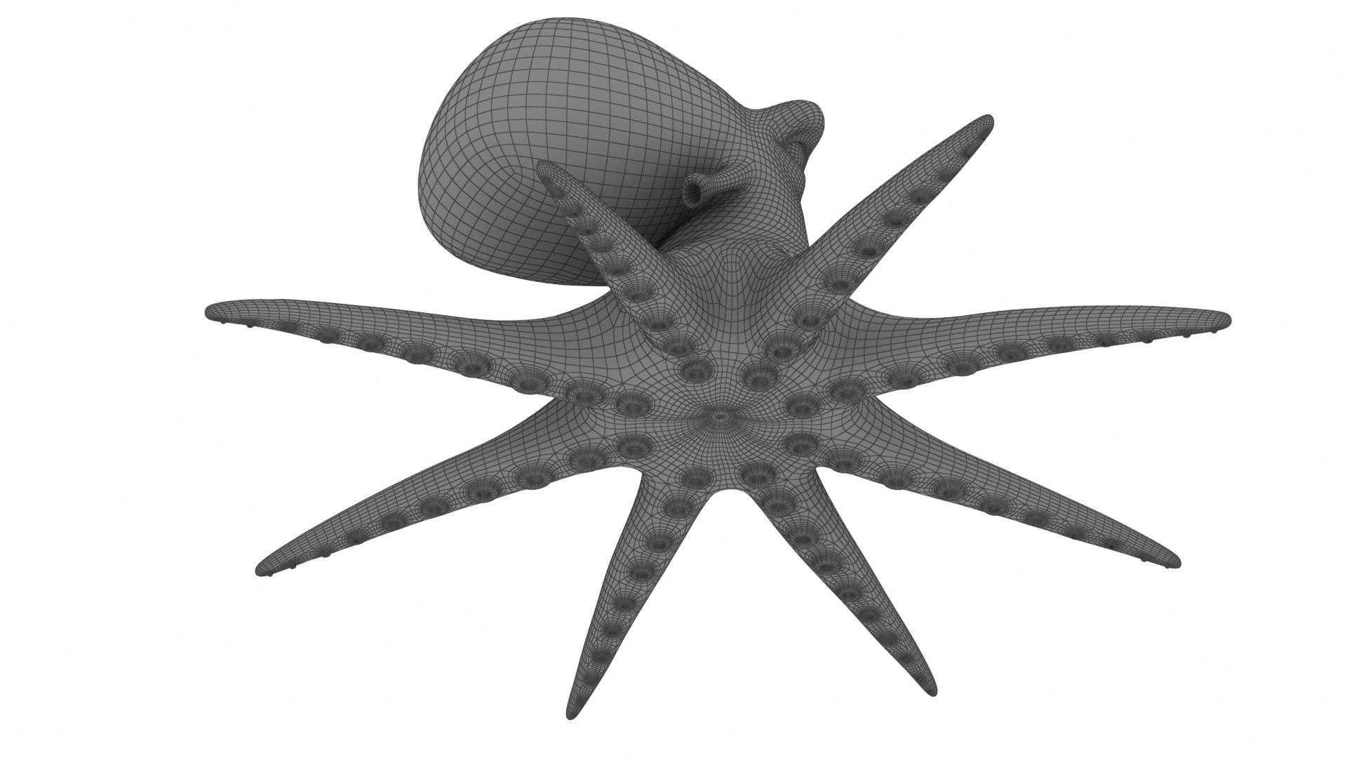 Mega Cartoon Sea Creatures 40 in 1 Collection 3D https://p.turbosquid.com/ts-thumb/lg/pX8rza/Jr/cartoonoctopus22/jpg/1689875836/1920x1080/fit_q87/005819954f213156bac61b7430ae7bdaf21658e4/cartoonoctopus22.jpg
