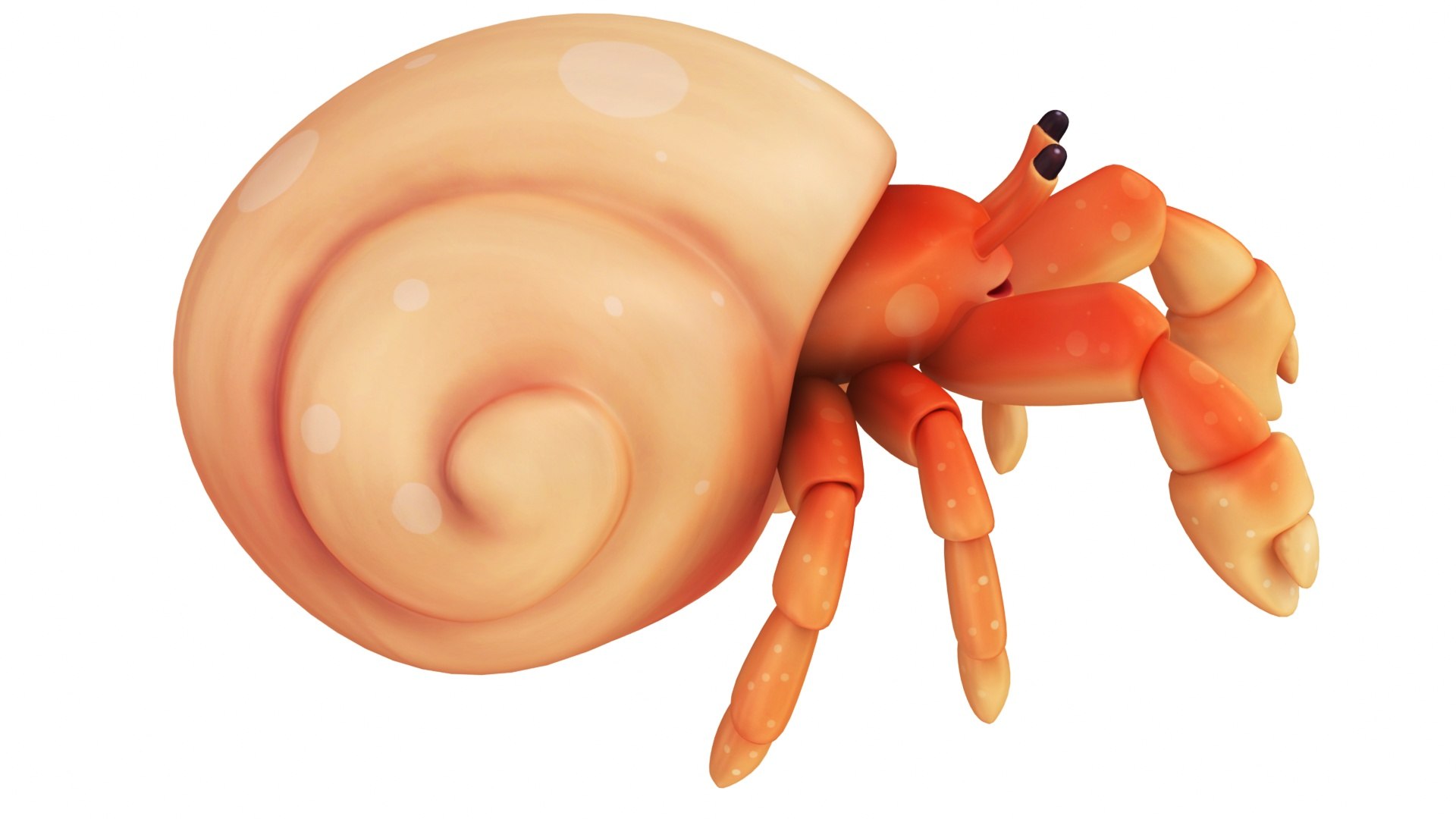 Mega Cartoon Sea Creatures 40 in 1 Collection 3D https://p.turbosquid.com/ts-thumb/lg/pX8rza/Nk/cartoonhermitcrab10/jpg/1689875744/1920x1080/fit_q87/81eab3d99c419b463b6a0d7621928aac2ebaee7f/cartoonhermitcrab10.jpg