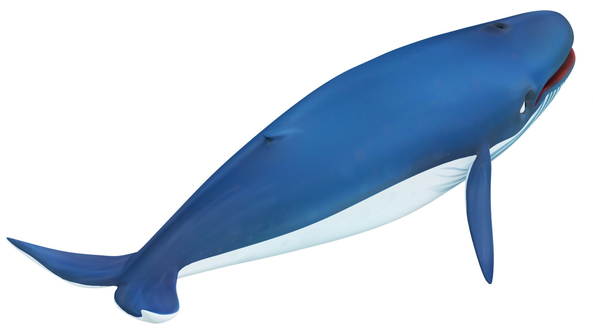 Mega Cartoon Sea Creatures 40 in 1 Collection 3D https://p.turbosquid.com/ts-thumb/lg/pX8rza/Om/cartoonbluewhale3/jpg/1689875467/1920x1080/fit_q87/b3ab9022b4b5935dd1a5edccf91e8a8fc5dbdc18/cartoonbluewhale3.jpg