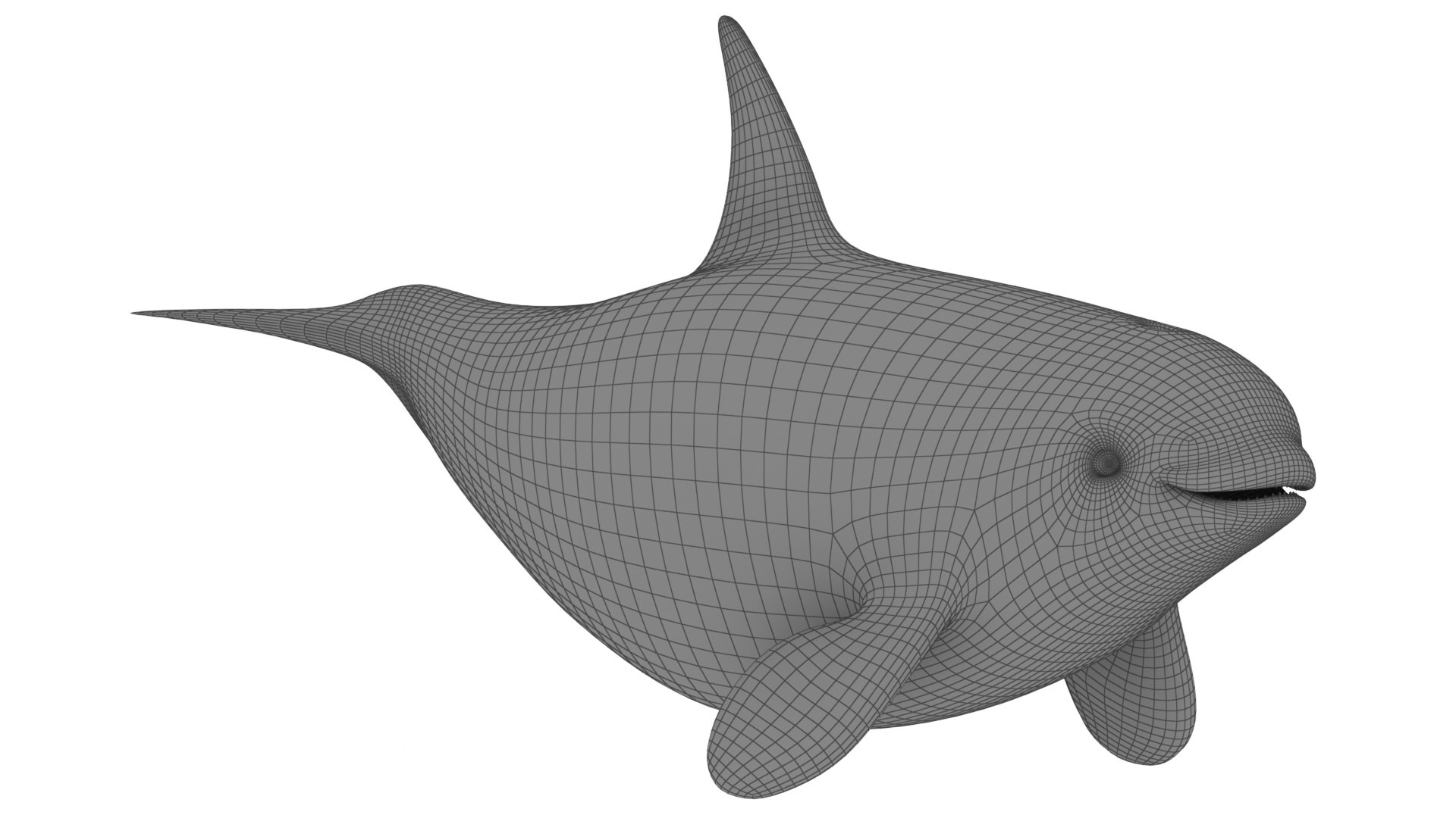 Mega Cartoon Sea Creatures 40 in 1 Collection 3D https://p.turbosquid.com/ts-thumb/lg/pX8rza/QH/cartoonkillerwhale10/jpg/1689875777/1920x1080/fit_q87/e0eeb1f876300247075eeb9241d9049bcd1ea922/cartoonkillerwhale10.jpg
