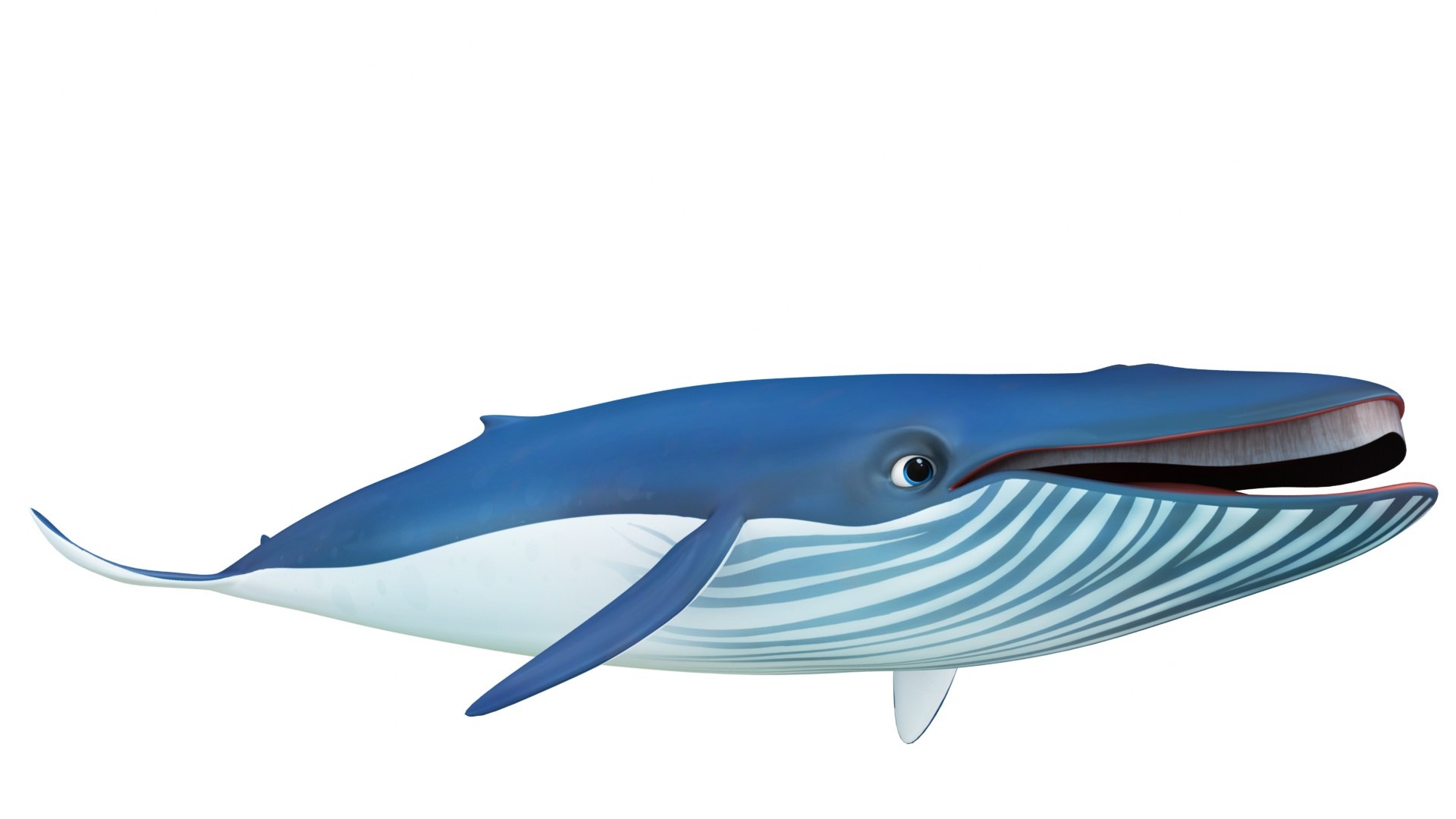 Mega Cartoon Sea Creatures 40 in 1 Collection 3D https://p.turbosquid.com/ts-thumb/lg/pX8rza/Ru/cartoonbluewhale1/jpg/1689875466/1920x1080/fit_q87/2cc1b48b615258bd7c2e30cb5ca8a0df8cbf6eda/cartoonbluewhale1.jpg