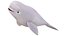 Colección Mega Cartoon Sea Creatures 40 en 1