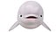 Colección Mega Cartoon Sea Creatures 40 en 1