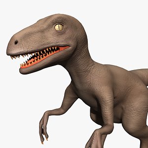 Raptor (Rigged)