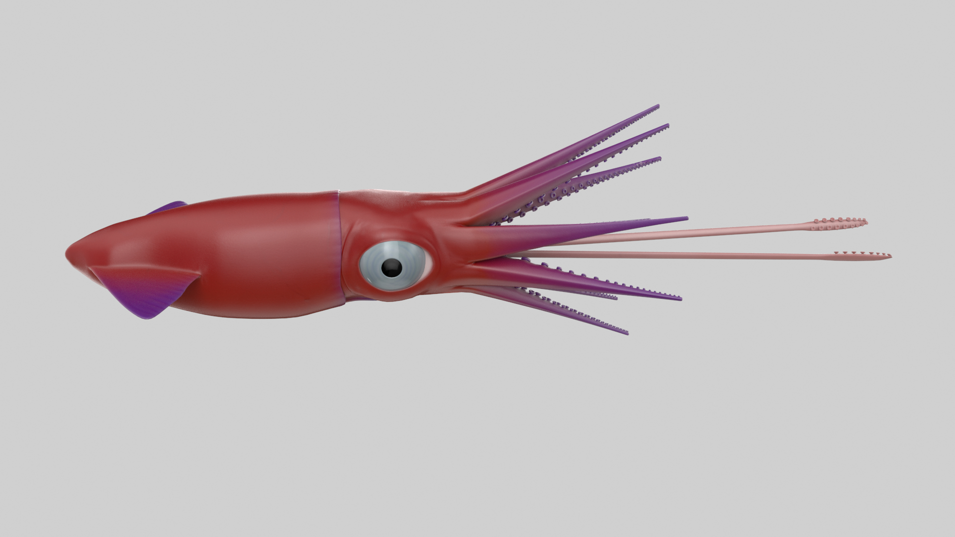 Cartoon Squid 3D model https://p.turbosquid.com/ts-thumb/lg/sncr0z/3i/squidtt/png/1633462902/1920x1080/turn_fit_q99/2d27c5f1b2eb061af4c925e9ddf44478b3ab6d9f/squidtt-1.jpg