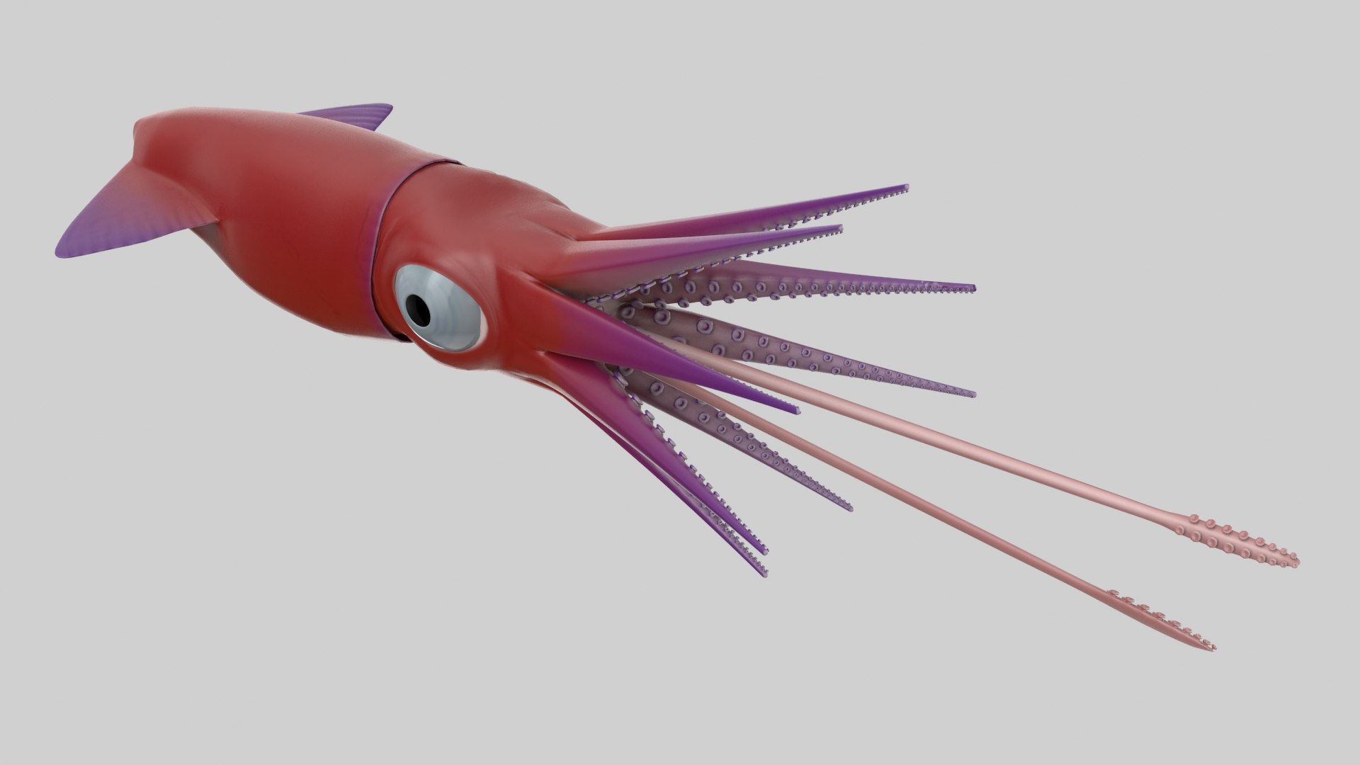 Cartoon Squid 3D model https://p.turbosquid.com/ts-thumb/lg/sncr0z/Bf/squid_r1/png/1633462853/1920x1080/fit_q87/b1fb315ad10b6731b226ed47ba4f5c270a12788e/squid_r1.jpg