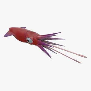 Cartoon Squid