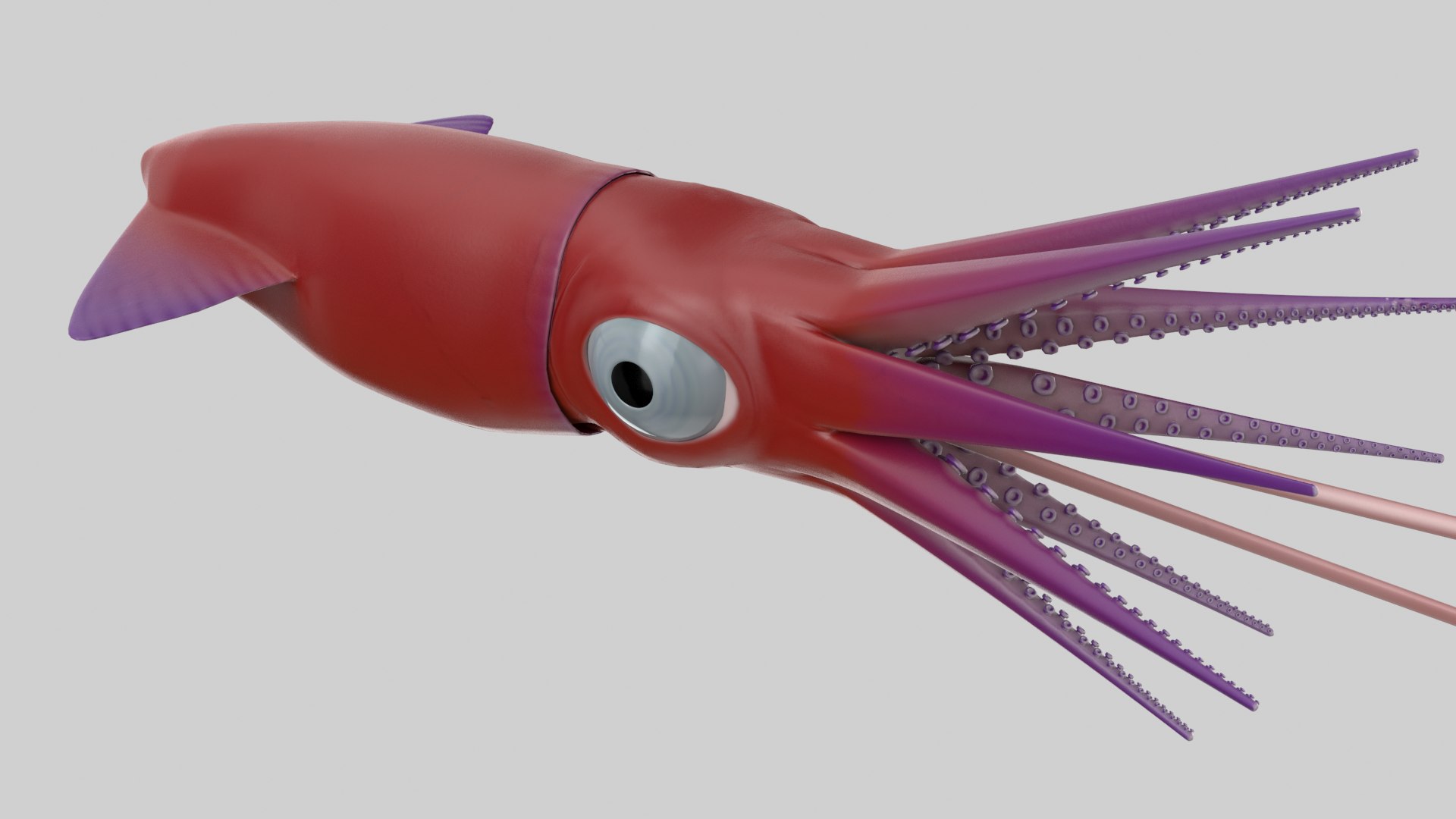Cartoon Squid 3D model https://p.turbosquid.com/ts-thumb/lg/sncr0z/Lc/squid_r9/png/1633462878/1920x1080/fit_q87/1cbe5ed2cbc743f008d62cd5444bcd2e4d80b681/squid_r9.jpg