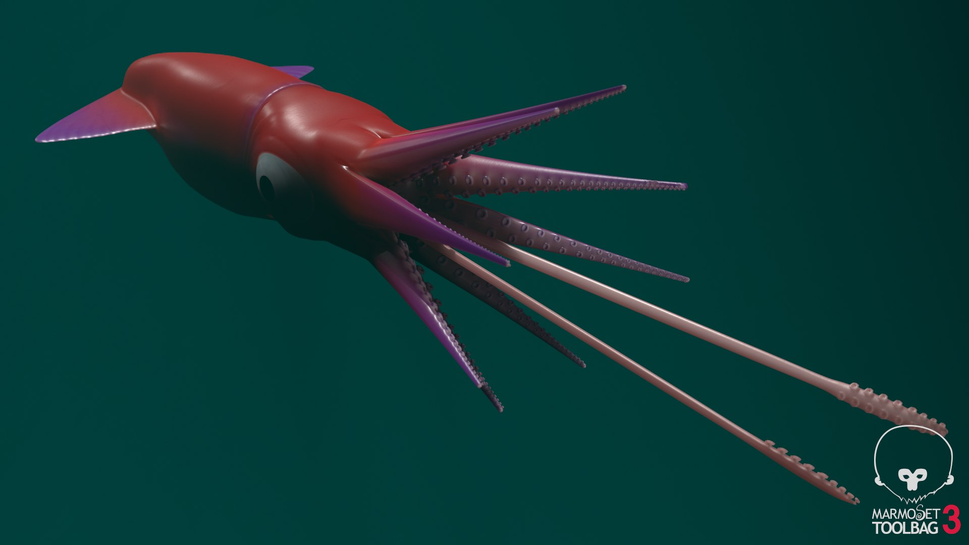 Cartoon Squid 3D model https://p.turbosquid.com/ts-thumb/lg/sncr0z/Tv/screenshot559/png/1633462854/1920x1080/fit_q87/311bb6063f1e2928f50c67bdd18dfe19a758a98e/screenshot559.jpg