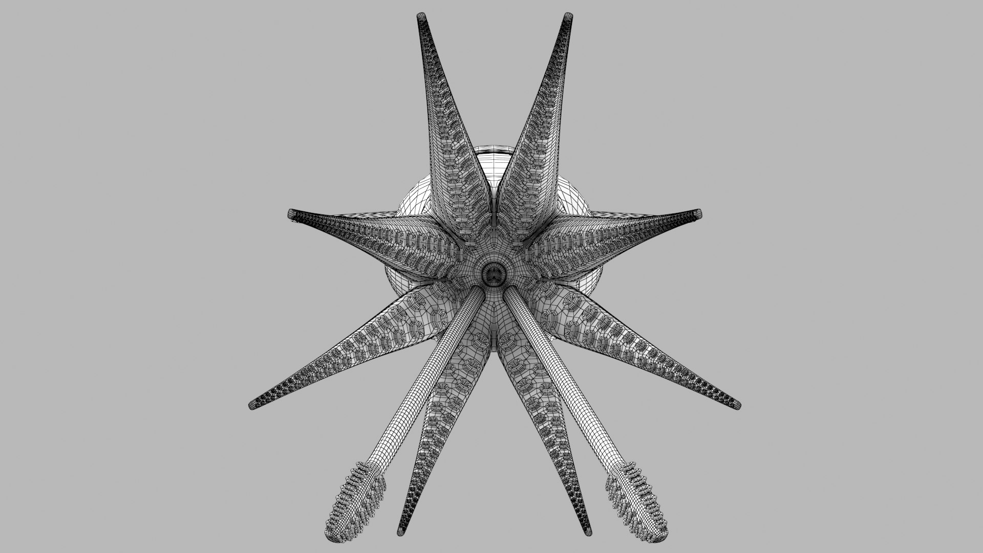 Cartoon Squid 3D model https://p.turbosquid.com/ts-thumb/lg/sncr0z/bT/squid_r8w/png/1633462880/1920x1080/fit_q87/83ebc9b6db9543096e97624b7998fff56ec968ac/squid_r8w.jpg