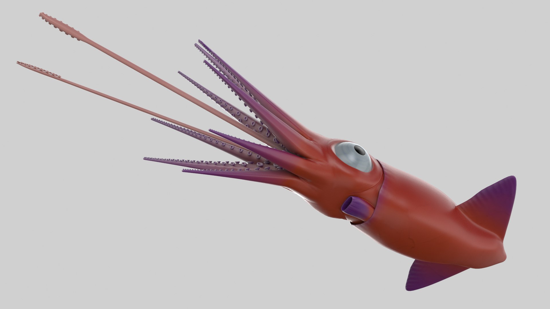Cartoon Squid 3D model https://p.turbosquid.com/ts-thumb/lg/sncr0z/ew/squid_r6/png/1633462878/1920x1080/fit_q87/08c42be5e8988b46c7dabb8a85be4c8738534707/squid_r6.jpg