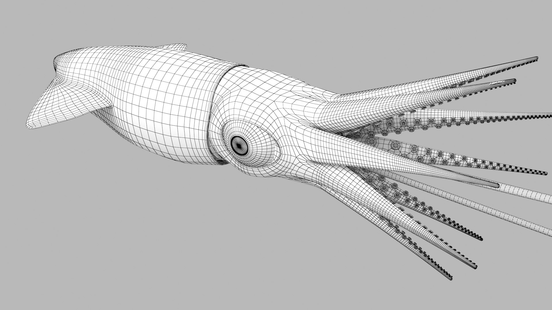 Cartoon Squid 3D model https://p.turbosquid.com/ts-thumb/lg/sncr0z/xg/squid_r9w/png/1633462878/1920x1080/fit_q87/49e834614e873d00690a220edcdbe89cd3c54ad4/squid_r9w.jpg