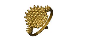 Gold ring ( a 14)